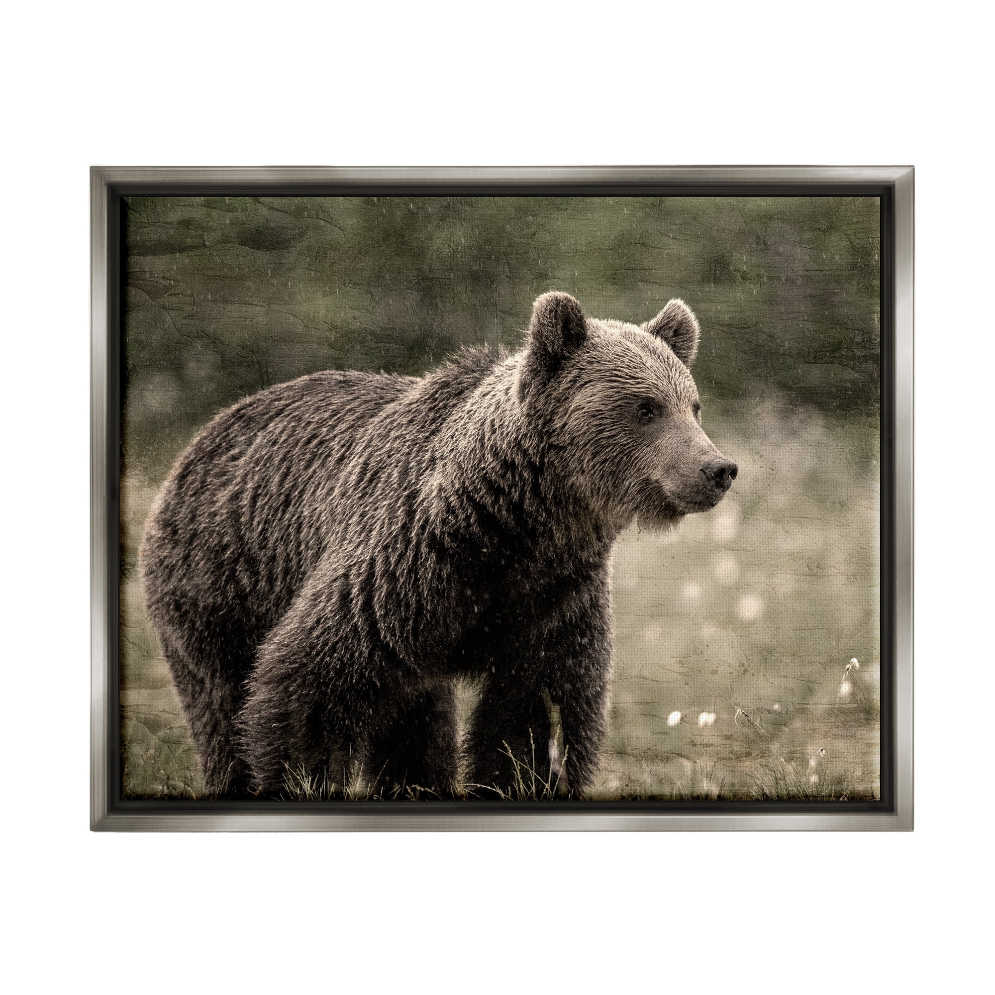 Stupell Industries Brown Bear Wildlife Animals & Insects Painting Gray Floater Framed Canvas Art Print Wall Art, 31 x 25