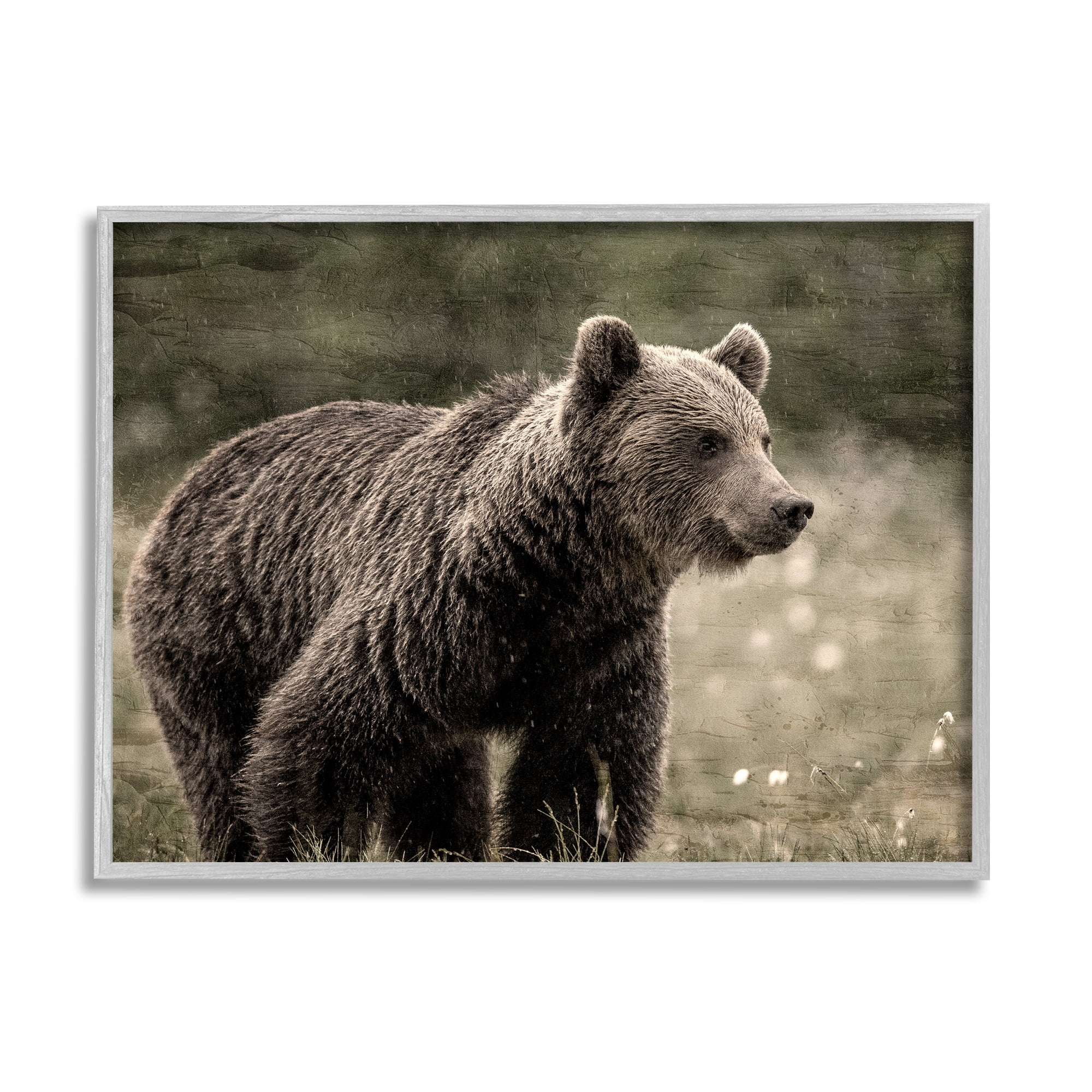 Stupell Industries Brown Bear Wildlife Animals & Insects Painting Gray Framed Art Print Wall Art, 14 x 11