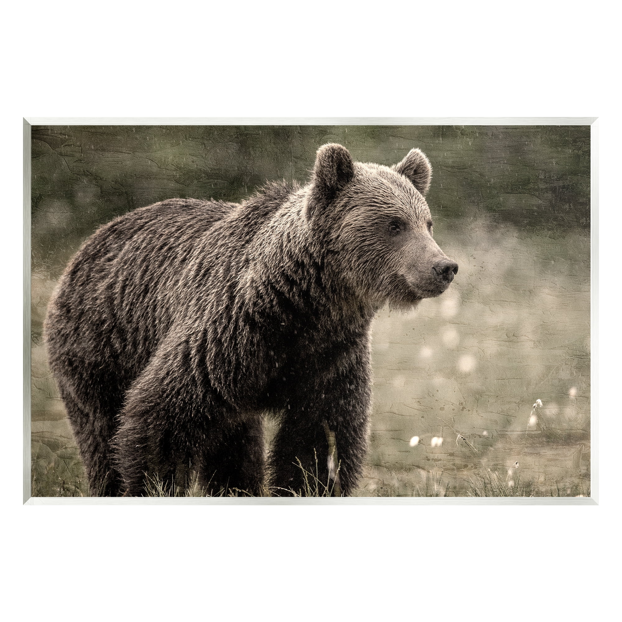 Stupell Industries Brown Bear Wildlife Animals & Insects Painting Unframed Art Print Wall Art, 15 x 10