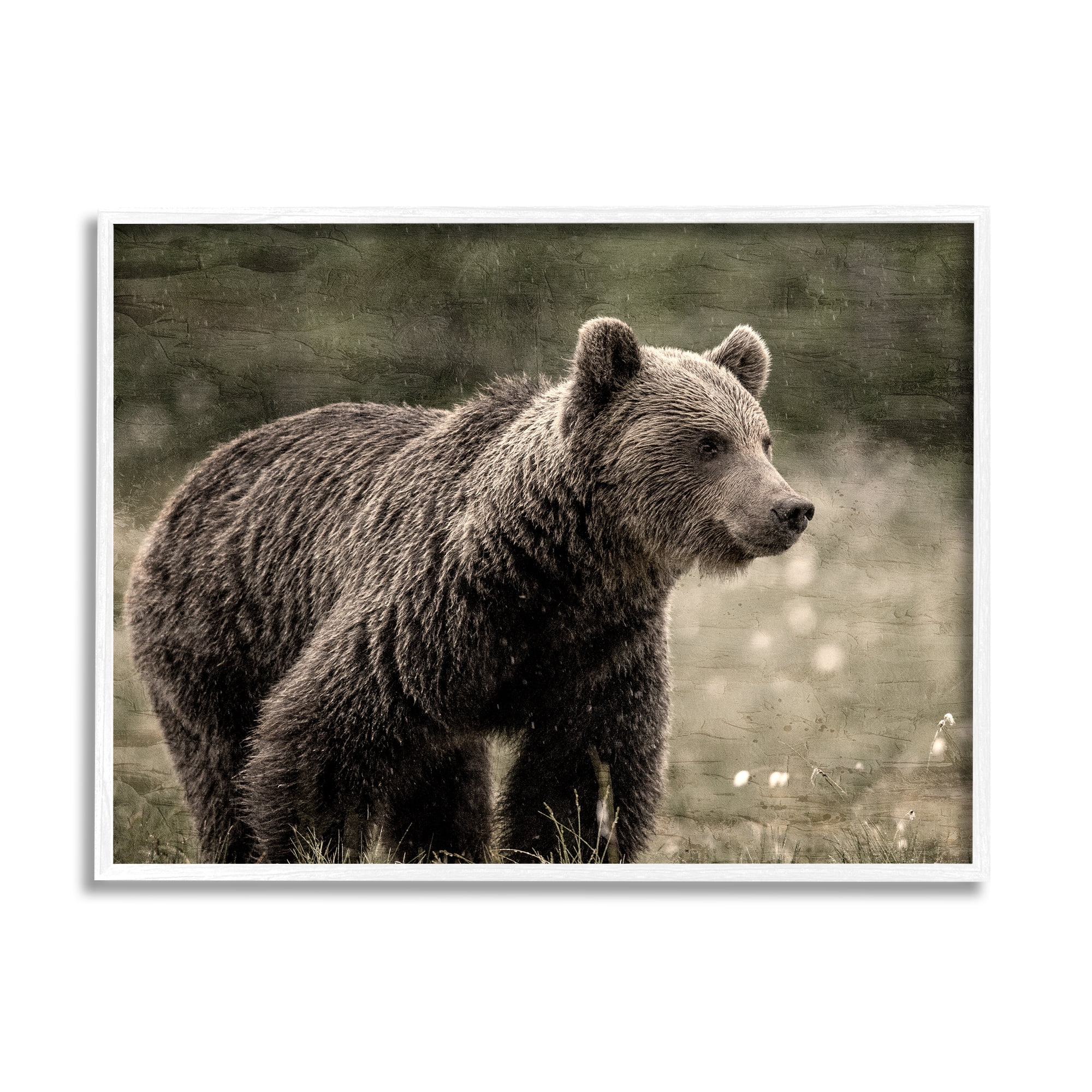 Stupell Industries Brown Bear Wildlife Animals & Insects Painting White Framed Art Print Wall Art, 14 x 11