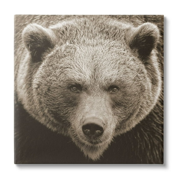 Stupell Industries Brown Bear Wildlife Portrait Animals & Insects Photography Gallery Wrapped Canvas Print Wall Art