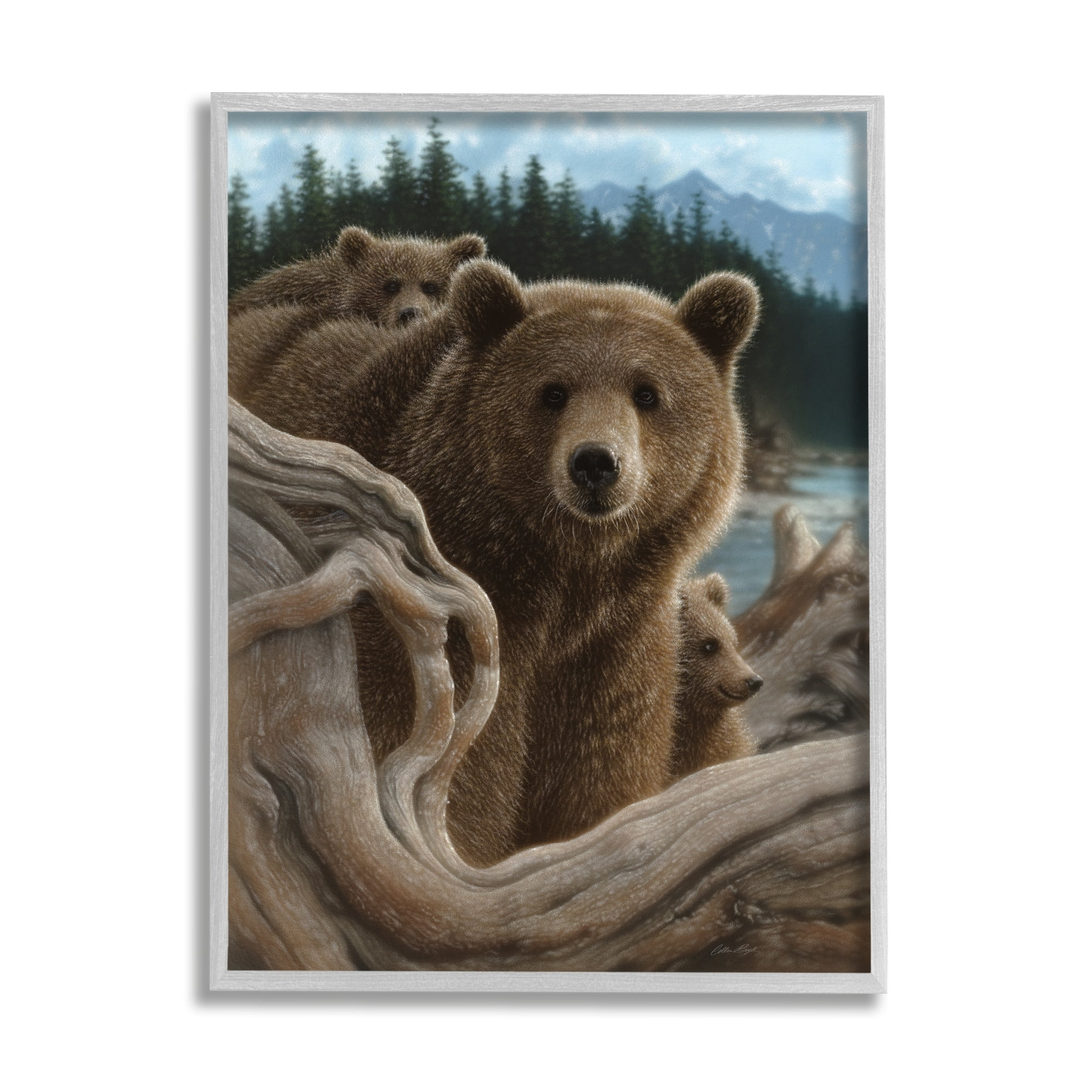 Stupell Industries Brown Bears Rustic Animal Family Tree Forest Lake, 16 x 20, Design by Collin Bogle