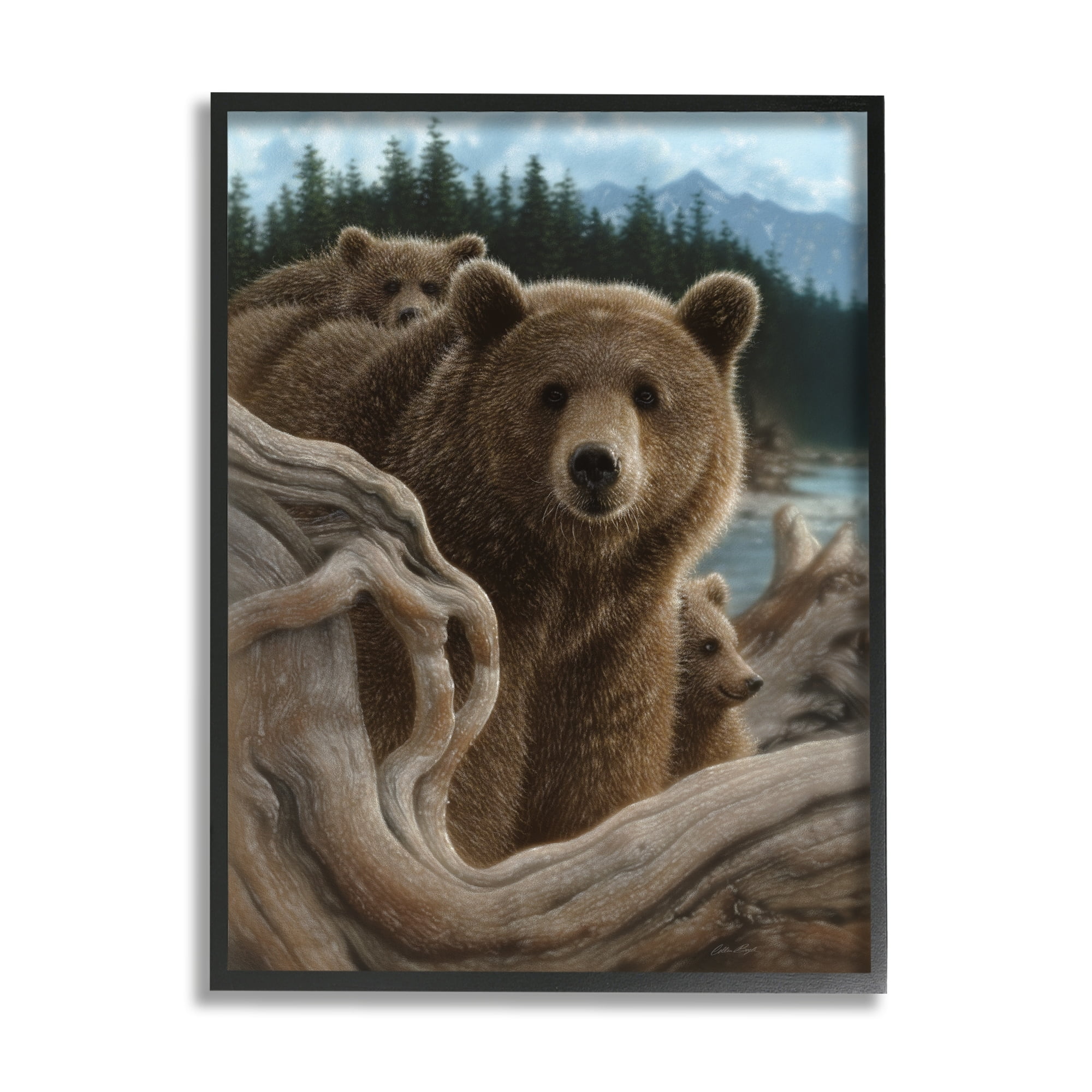 Stupell Industries Brown Bears Rustic Animal Family Tree Forest Lake, 16 x 20, Design by Collin Bogle