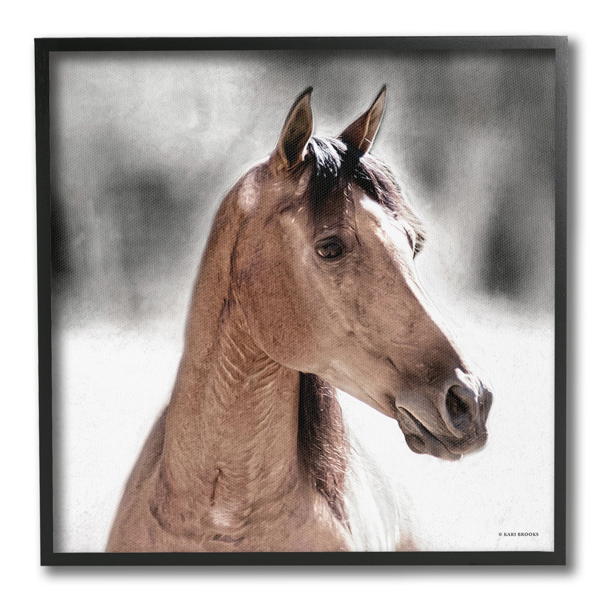 Stupell Industries Brown Foal in Snow Animals & Insects Photography Black Framed Art Print Wall Art, 17 x 17