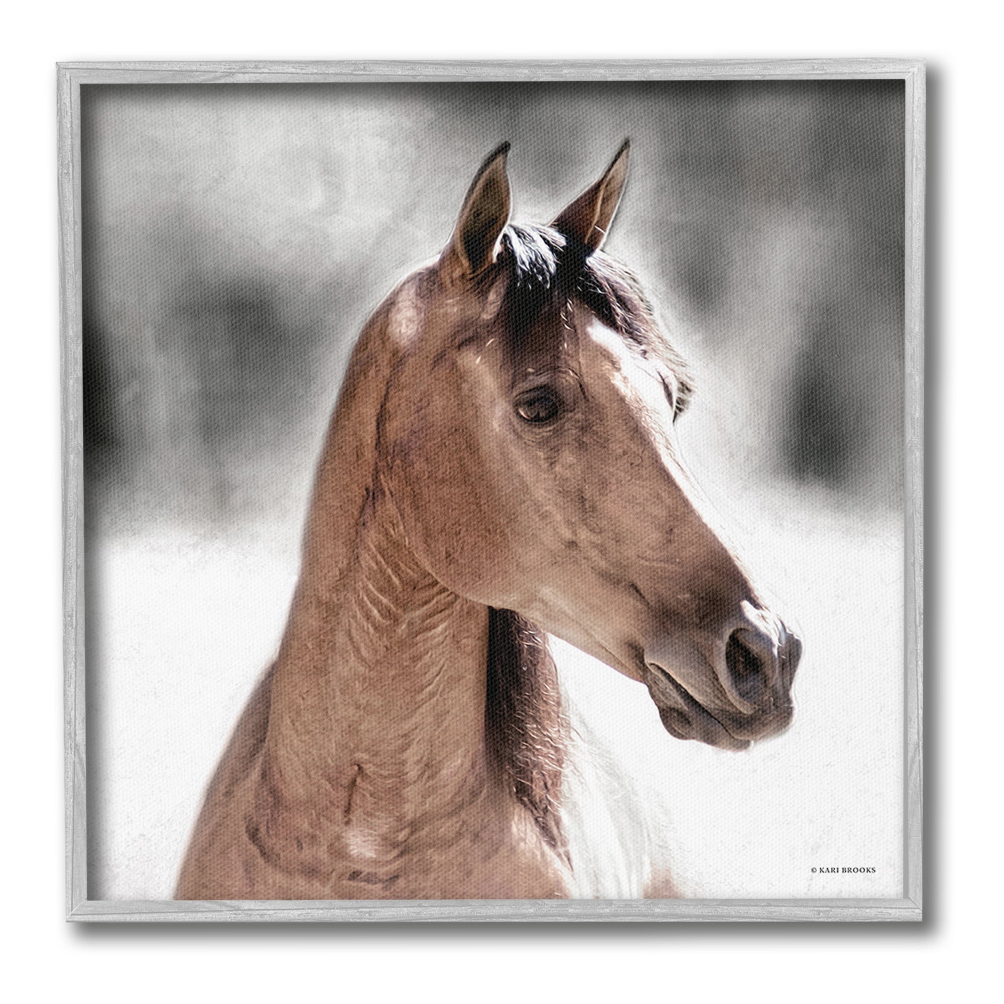 Stupell Industries Brown Foal in Snow Animals & Insects Photography Gray Framed Art Print Wall Art, 24 x 24