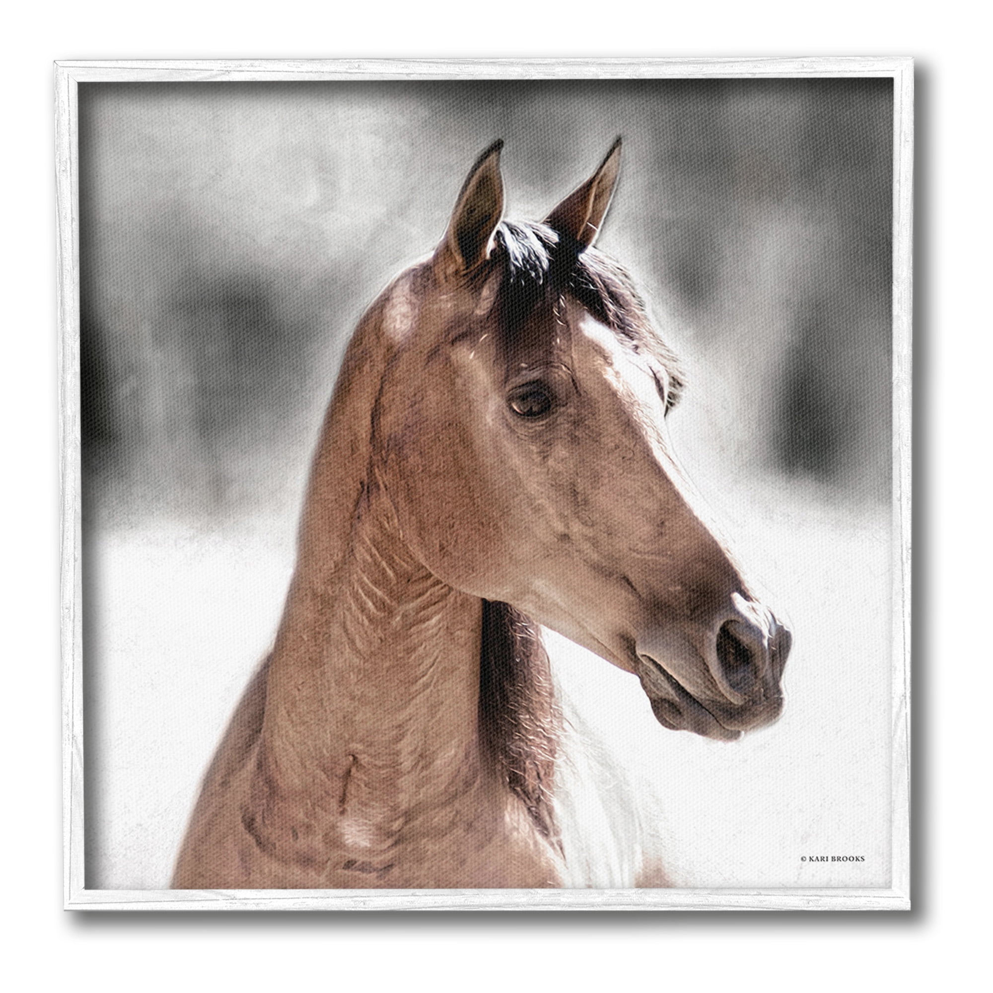 Stupell Industries Brown Foal in Snow Animals & Insects Photography White Framed Art Print Wall Art, 24 x 24