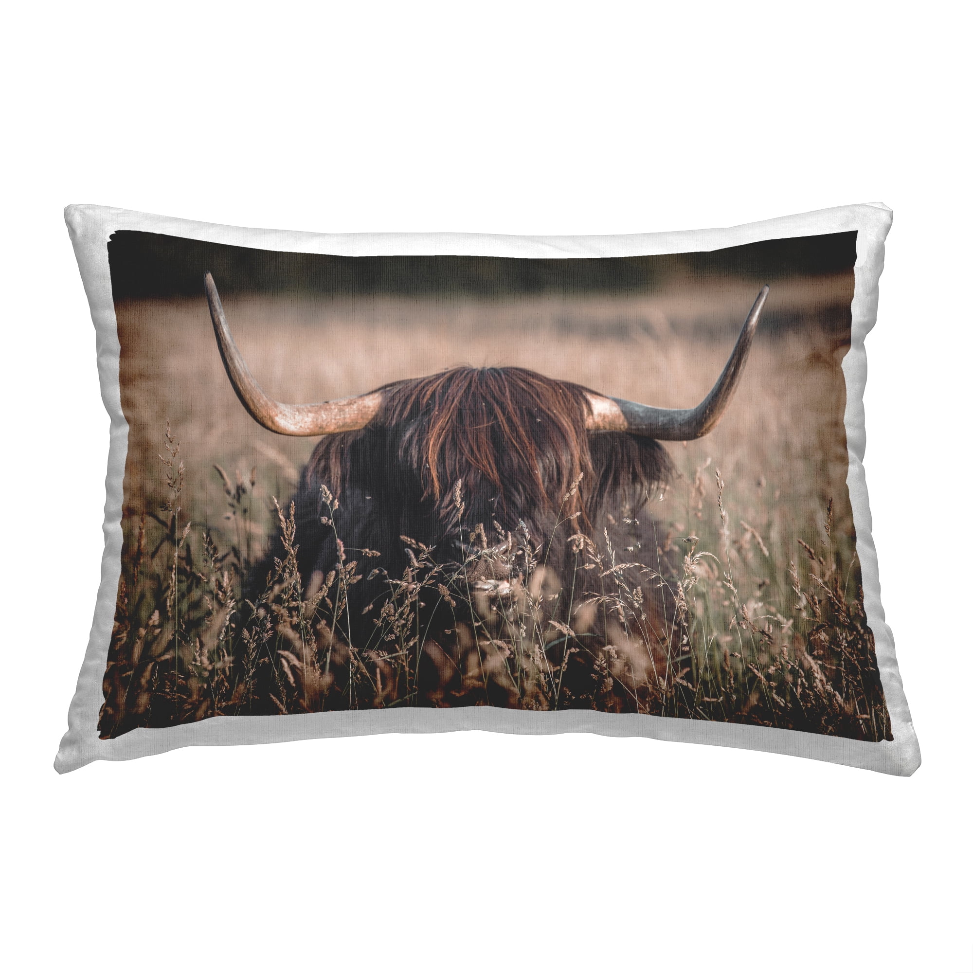 Stupell Industries Brown Highland Cattle Decorative Printed Throw Pillow, 14 x 20