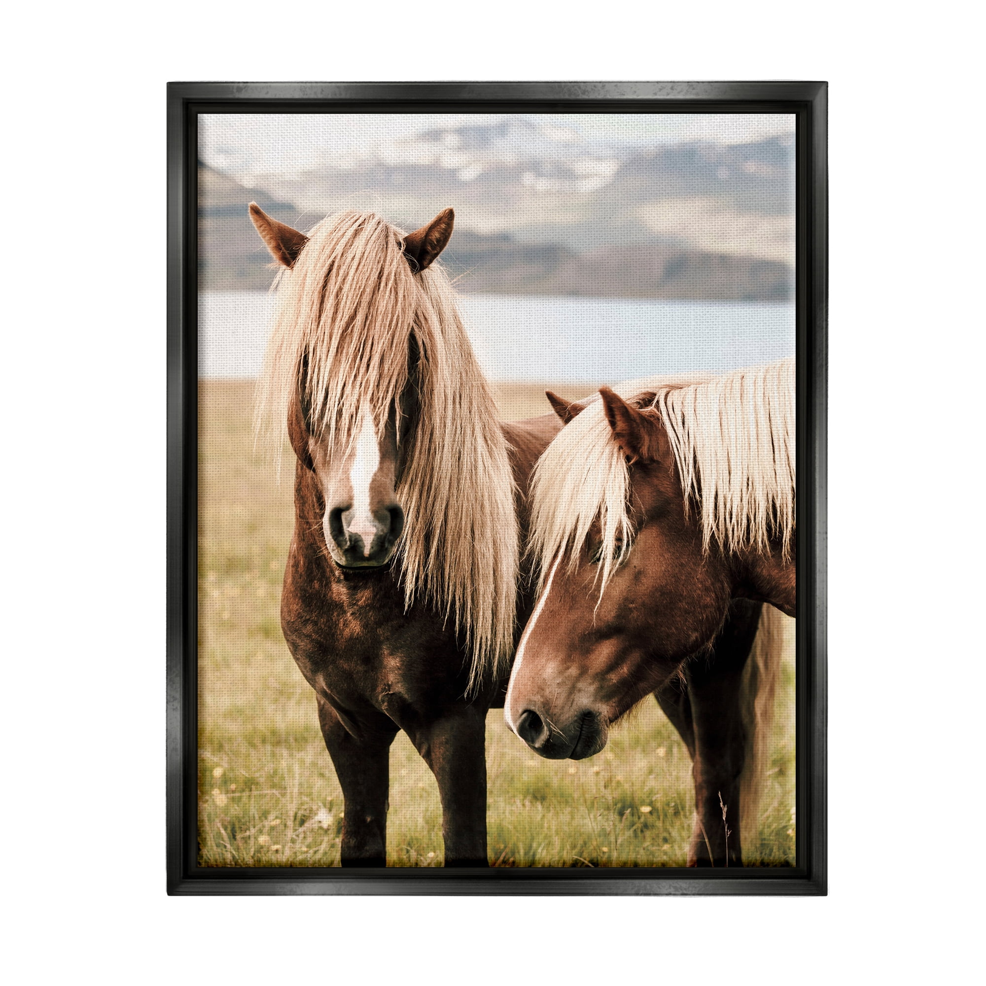 Stupell Industries Brown Horse Duo Animals & Insects Photography Black Floater Framed Canvas Art Print Wall Art, 25 x 31