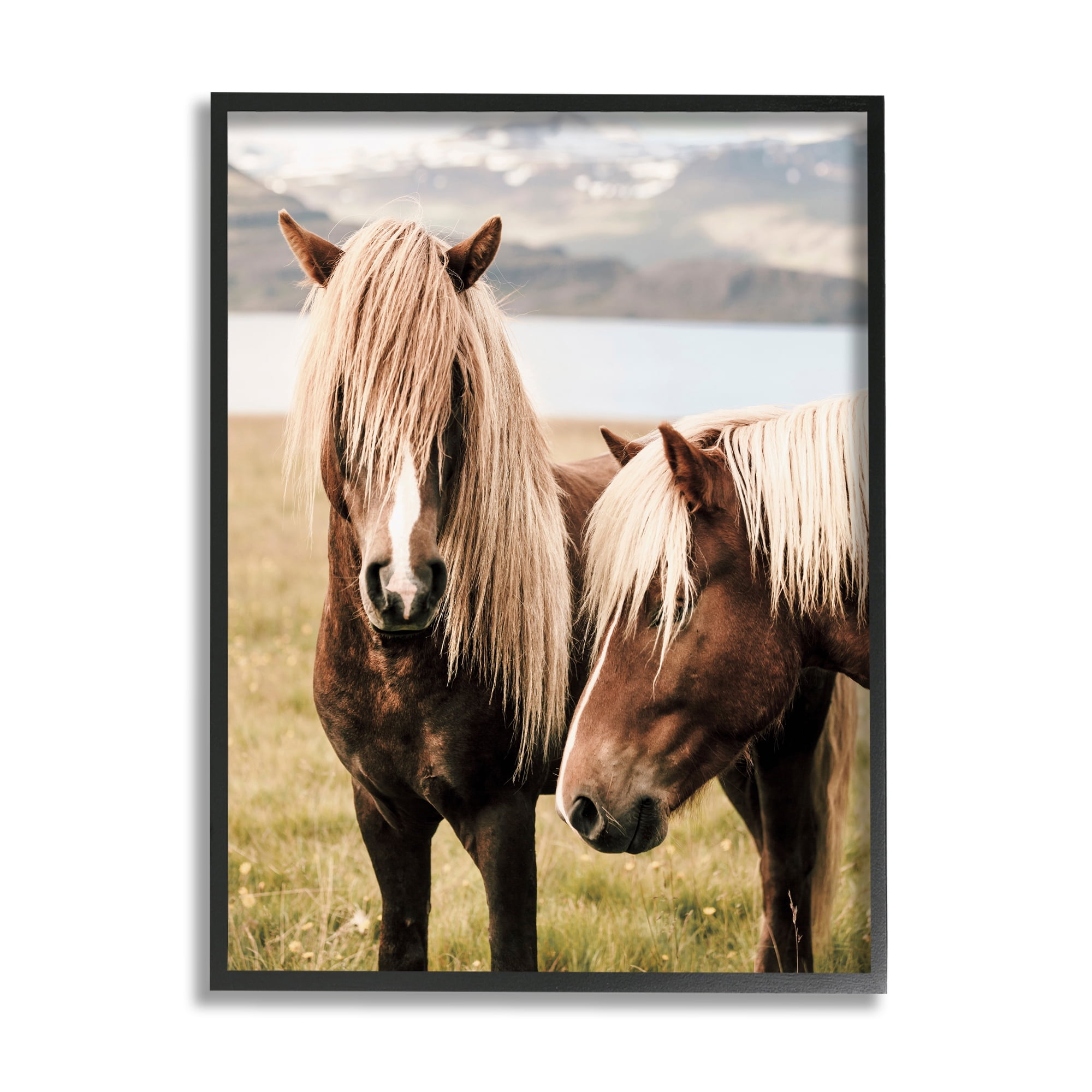 Stupell Industries Brown Horse Duo Animals & Insects Photography Black Framed Art Print Wall Art, 24 x 30