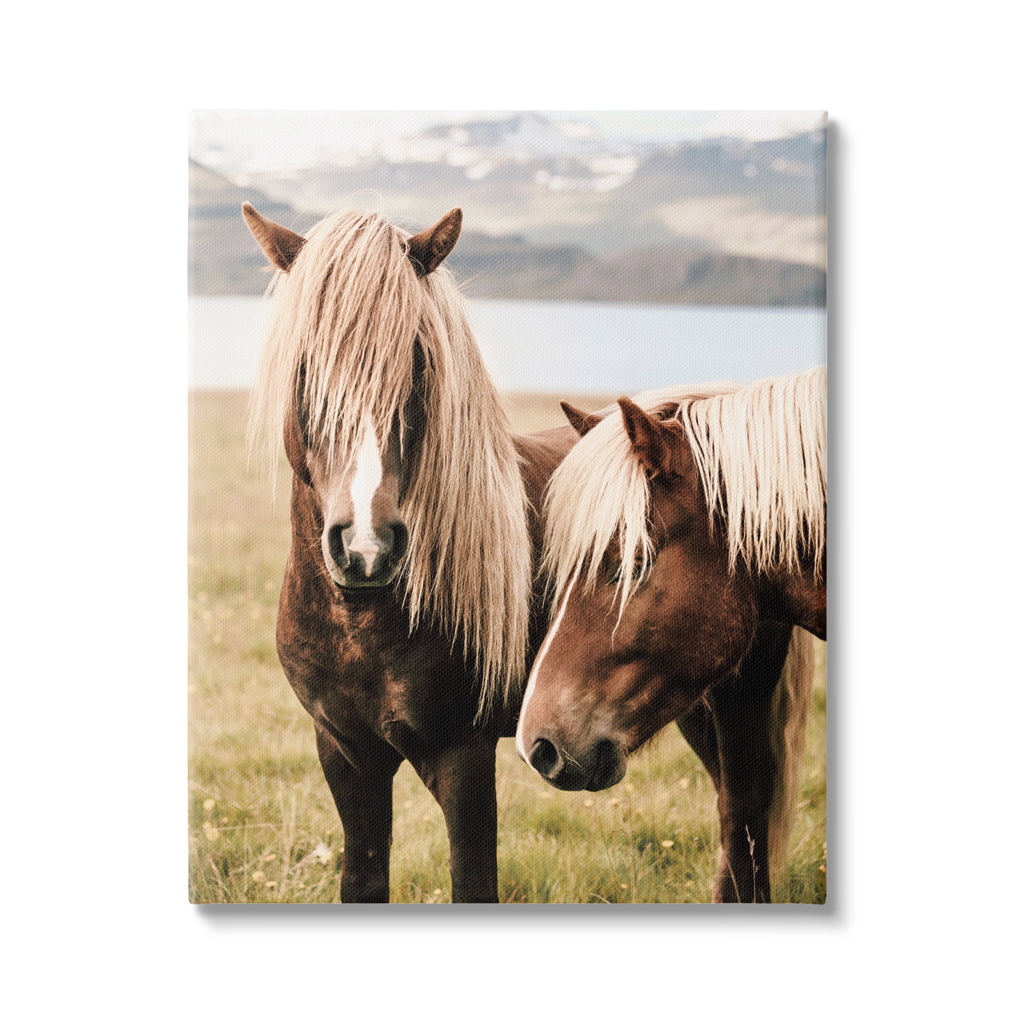 Stupell Industries Brown Horse Duo Animals & Insects Photography Gallery Wrapped Canvas Art Print Wall Art, 24 x 30