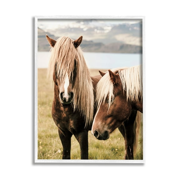 Stupell Industries Brown Horse Duo Animals & Insects Photography White Framed Art Print Wall Art, 16 x 20