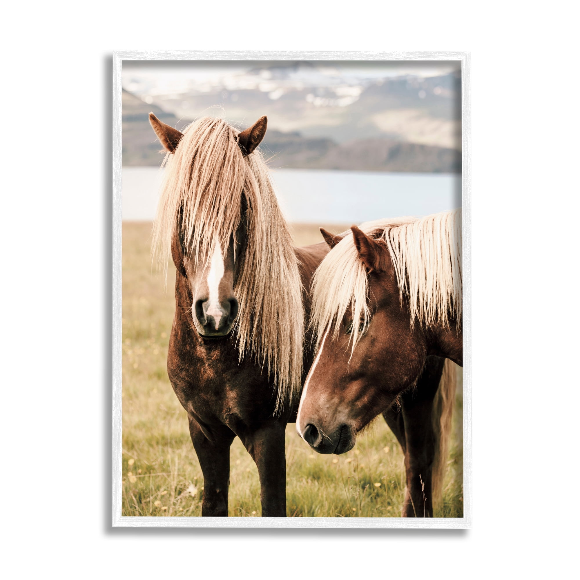 Stupell Industries Brown Horse Duo Animals & Insects Photography White Framed Art Print Wall Art, 24 x 30