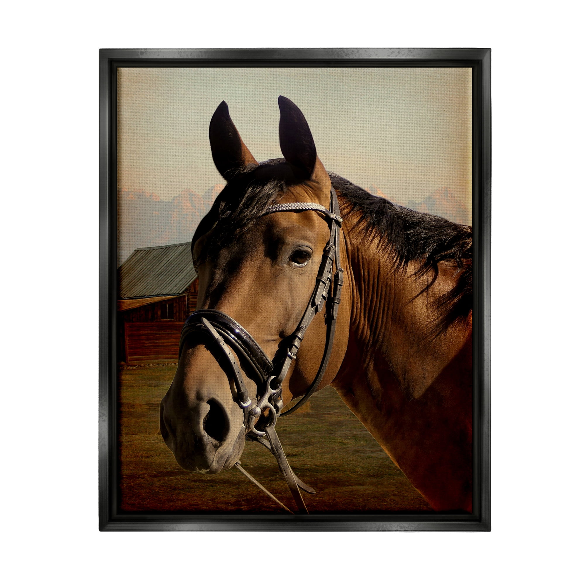 Stupell Industries Brown Horse Portrait Animals & Insects Photography Black Floater Framed Canvas Art Print Wall Art, 25 x 31