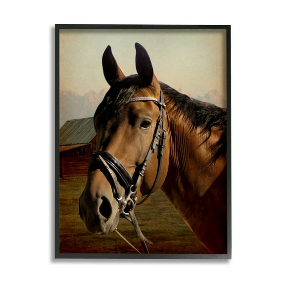 Stupell Industries Brown Horse Portrait Animals & Insects Photography Black Framed Art Print Wall Art, 11 x 14