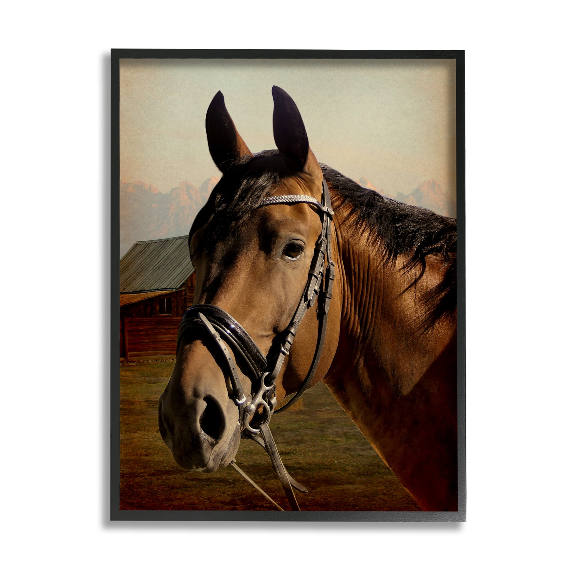 Stupell Industries Brown Horse Portrait Animals & Insects Photography Black Framed Art Print Wall Art, 24 x 30