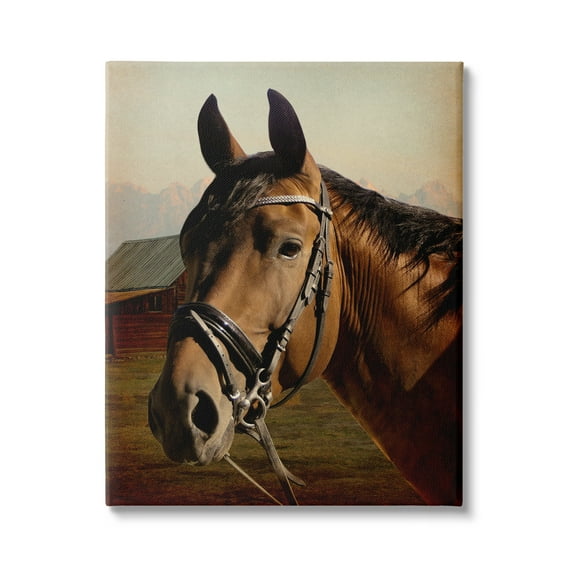 Stupell Industries Brown Horse Portrait Animals & Insects Photography Gallery Wrapped Canvas Art Print Wall Art, 16 x 20