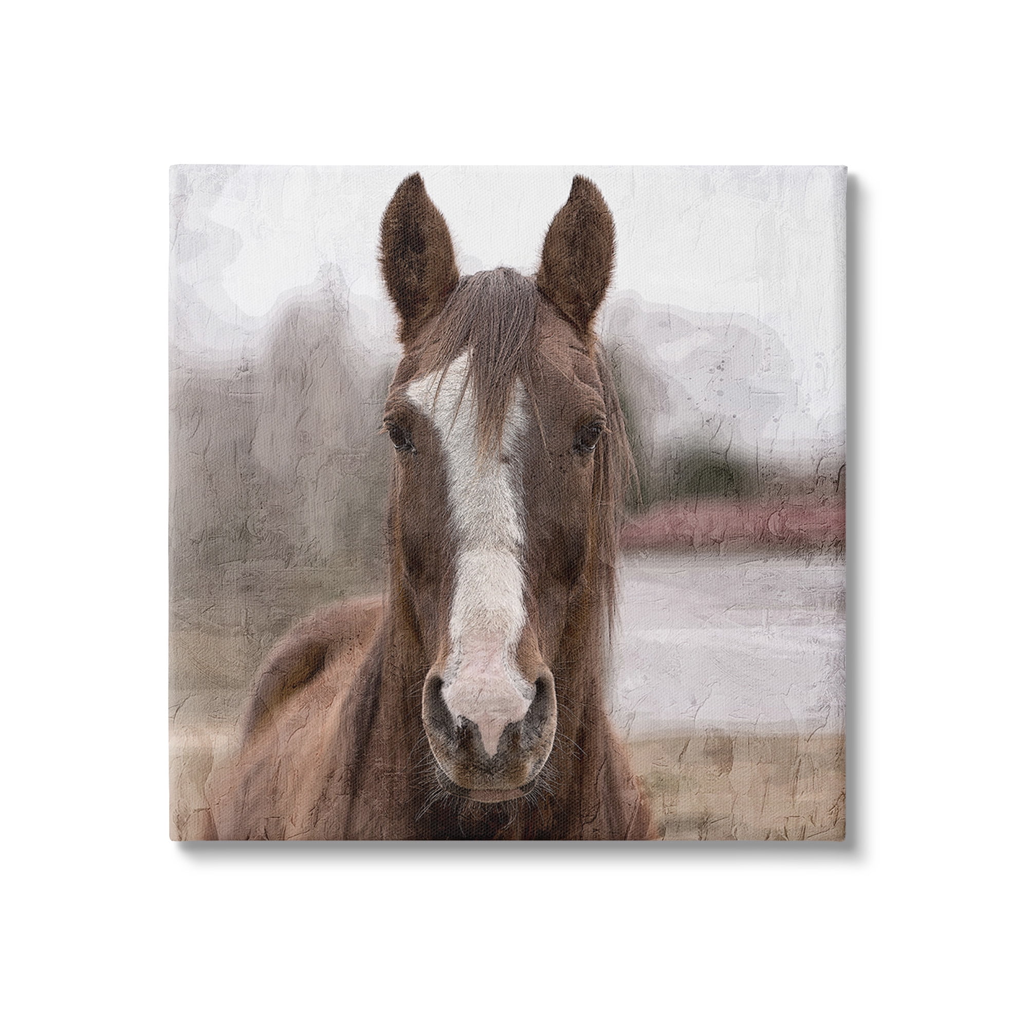 Stupell Industries Brown Horse Portrait Animals & Insects Photography Gallery Wrapped Canvas Art Print Wall Art, 17 x 17