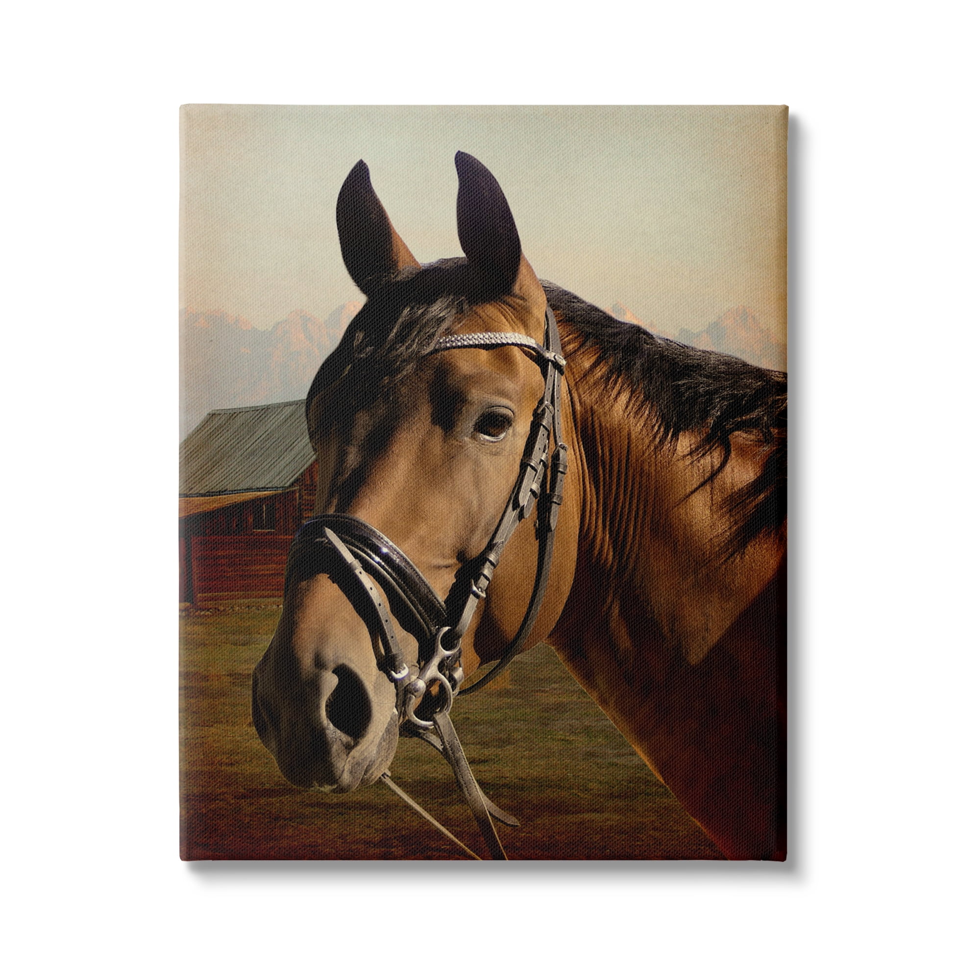 Stupell Industries Brown Horse Portrait Animals & Insects Photography Gallery Wrapped Canvas Art Print Wall Art, 30 x 40