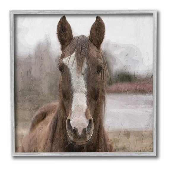 Stupell Industries Brown Horse Portrait Animals & Insects Photography Gray Framed Art Print Wall Art, 24 x 24