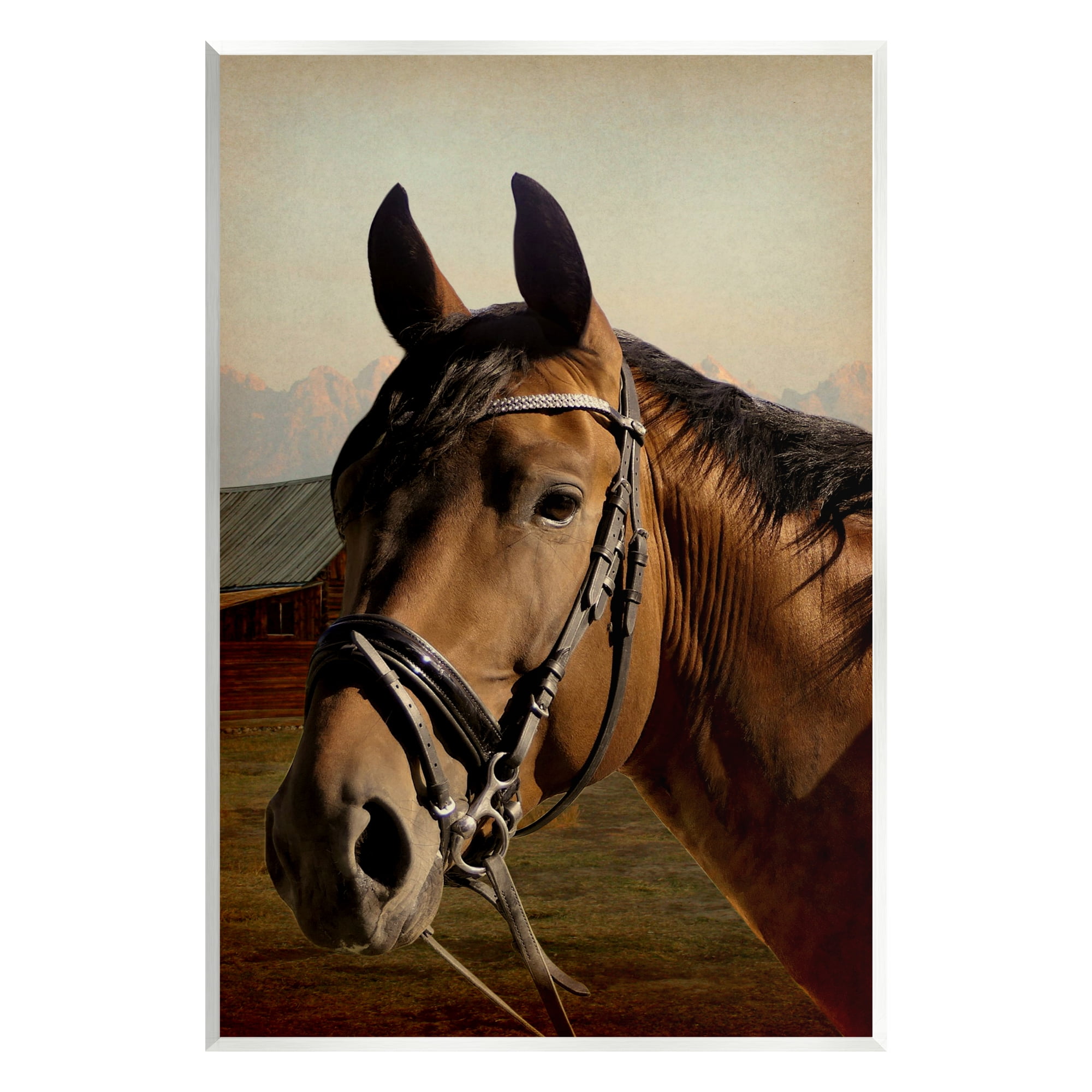 Stupell Industries Brown Horse Portrait Animals & Insects Photography Unframed Art Print Wall Art, 13 x 19