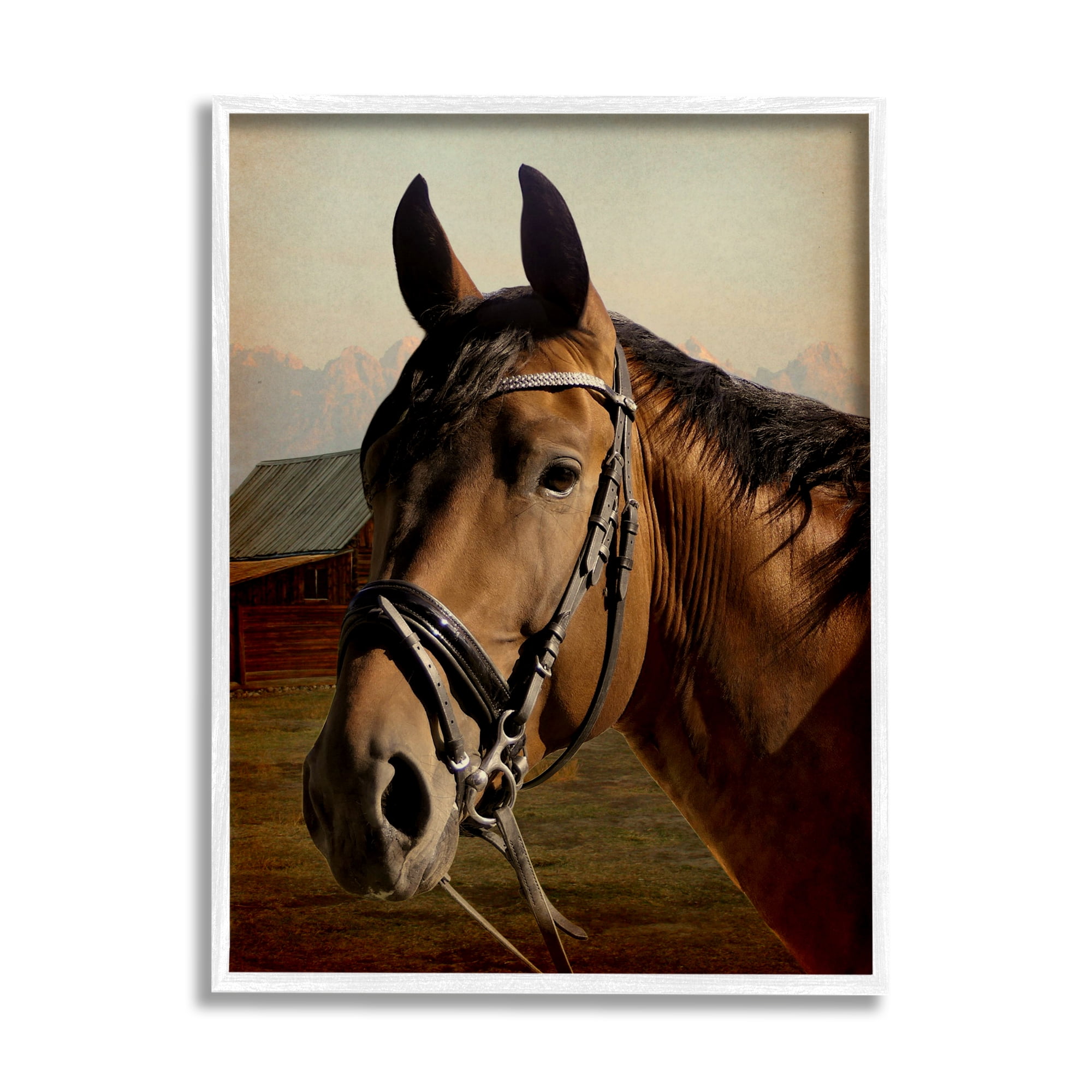 Stupell Industries Brown Horse Portrait Animals & Insects Photography White Framed Art Print Wall Art, 16 x 20