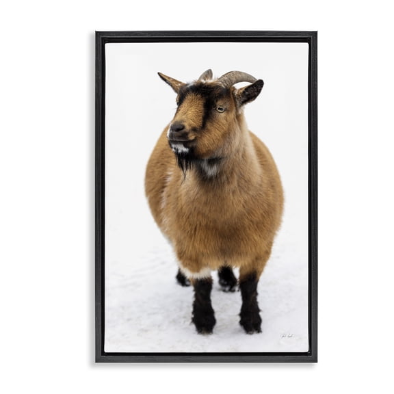 Stupell Industries Brown Little Goat Black Framed Floater Canvas Wall Art design by Deborah Revell, 31 x 21