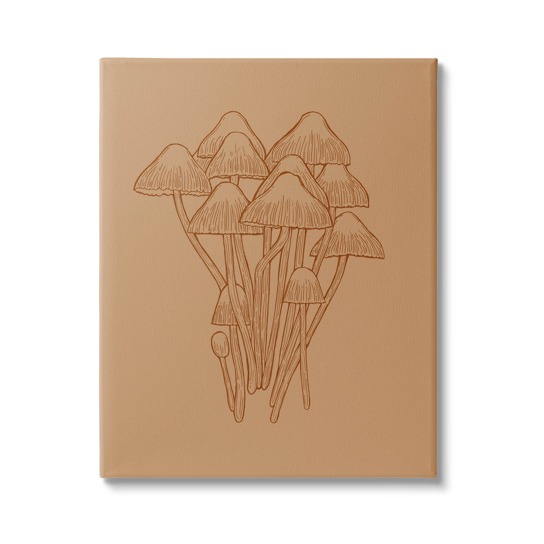 Stupell Industries Brown Mushrooms Detailed Nature Graphic Art Gallery Wrapped Canvas Print Wall Art, Design by Ziwei Li