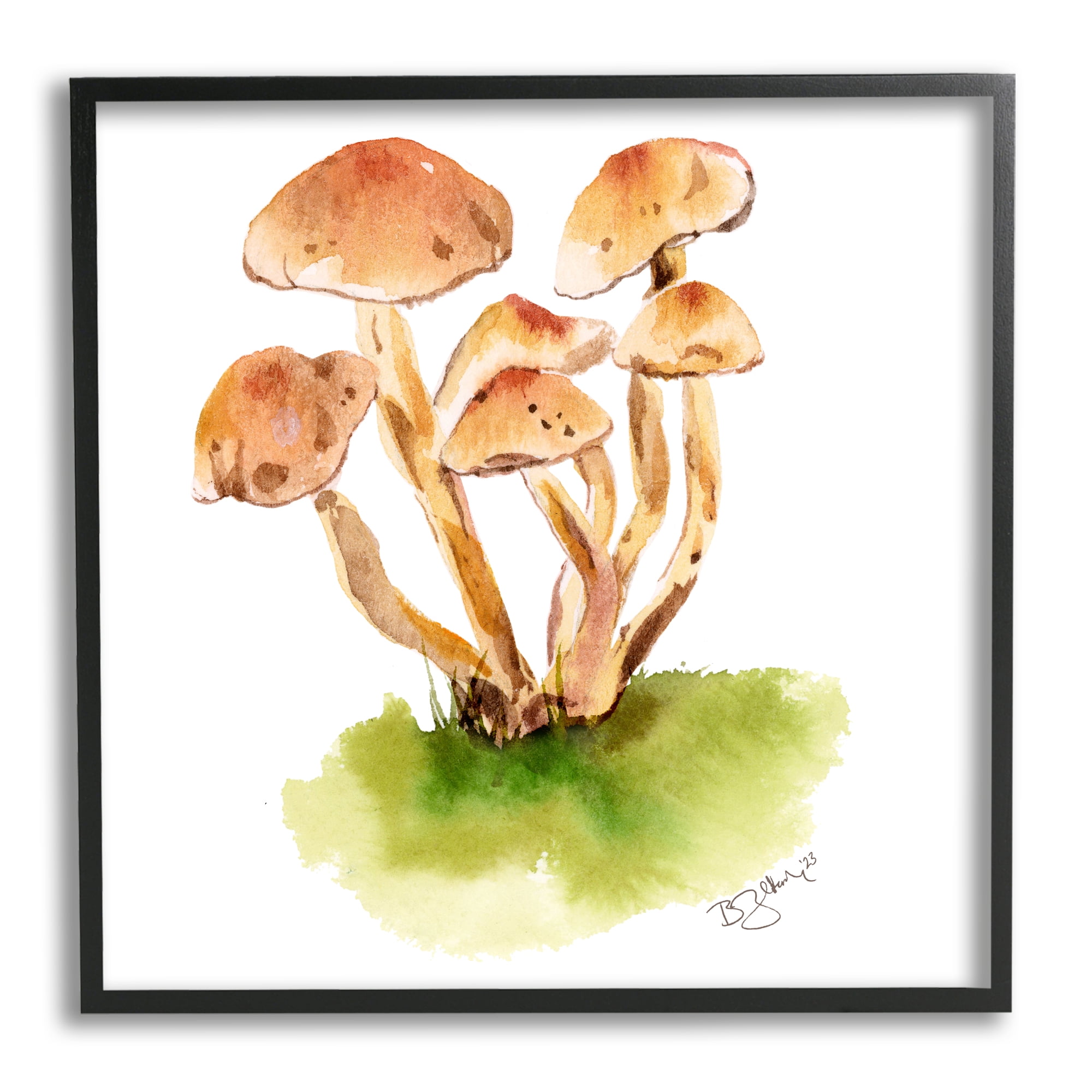 Stupell Industries Brown Mushrooms Watercolor Botanical & Floral Painting Black Framed Art Print Wall Art, 12 x 12