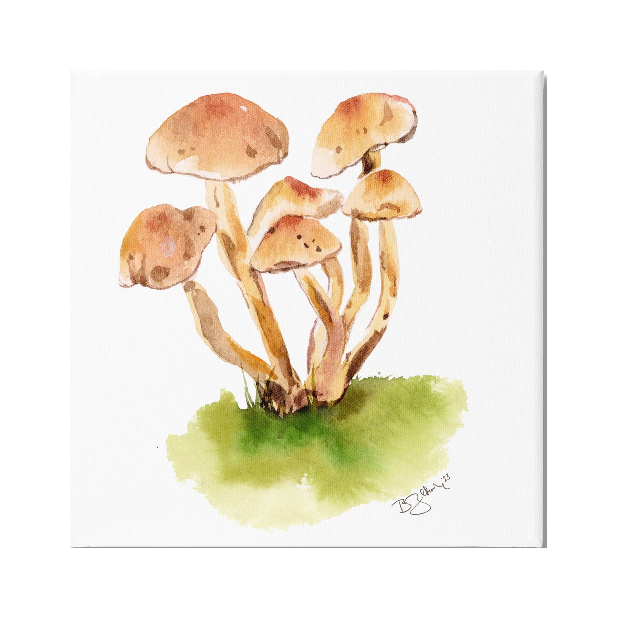 Stupell Industries Brown Mushrooms Watercolor Botanical & Floral Painting Gallery Wrapped Canvas Art Print Wall Art, 30 x 30