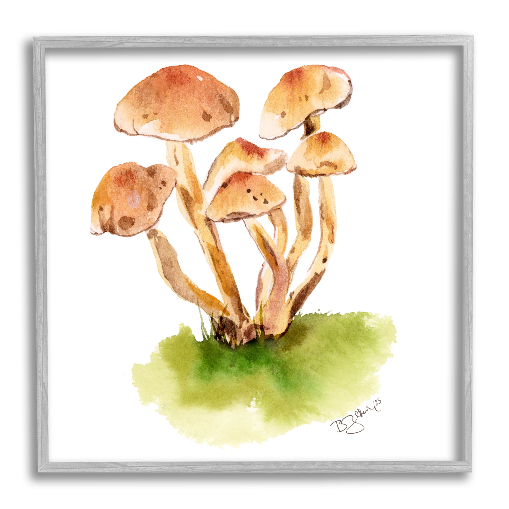 Stupell Industries Brown Mushrooms Watercolor Botanical & Floral Painting Gray Framed Art Print Wall Art, 17 x 17