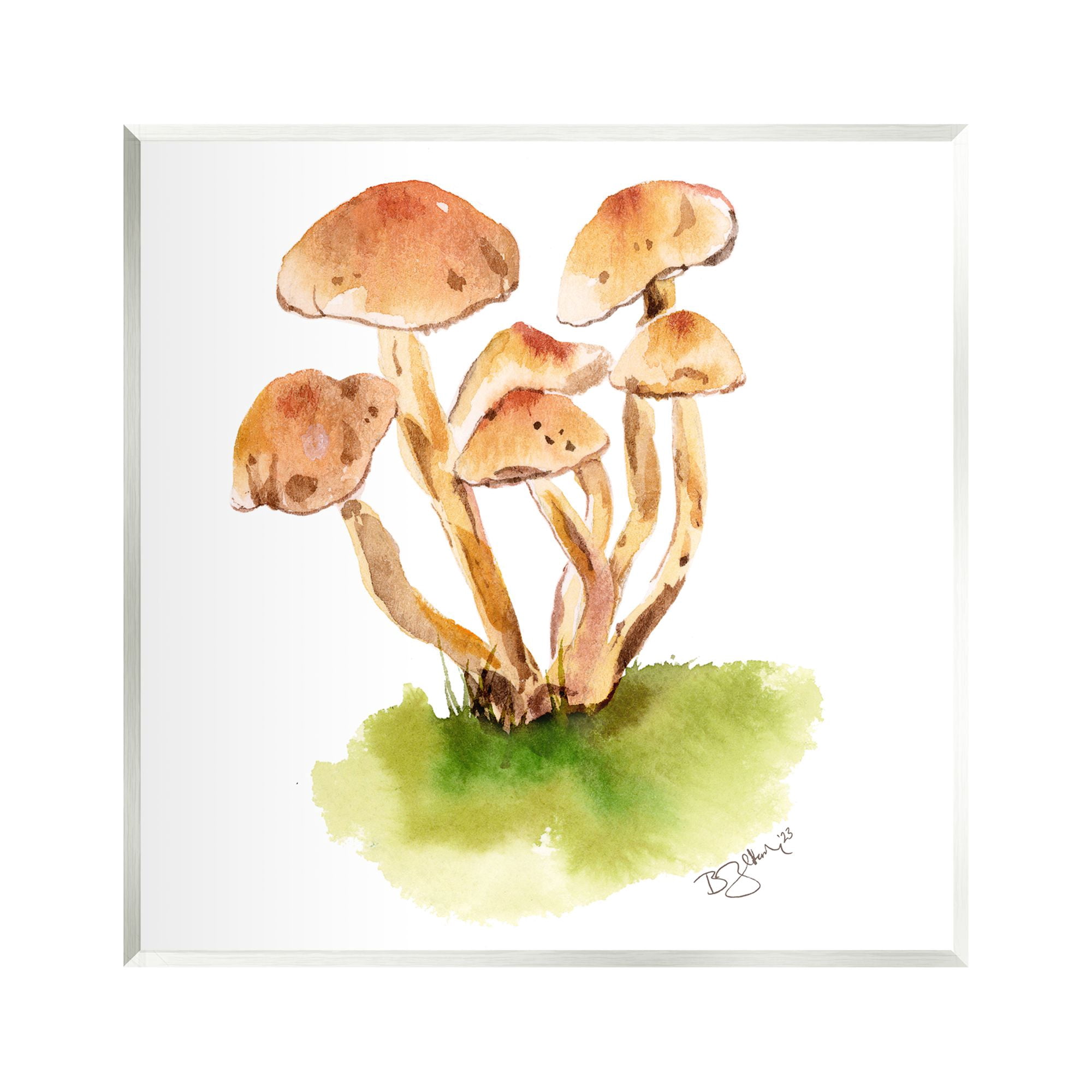 Stupell Industries Brown Mushrooms Watercolor Botanical & Floral Painting Unframed Art Print Wall Art, 12 x 12