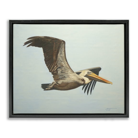 Stupell Industries Brown Pelican in Flight Animals & Insects Painting Black Floater Framed Canvas Art Print Wall Art, 21 x 17