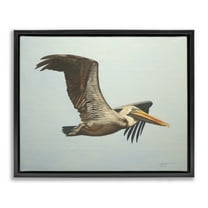 Stupell Industries Brown Pelican in Flight Animals & Insects Painting Black Floater Framed Canvas Art Print Wall Art, 21 x 17