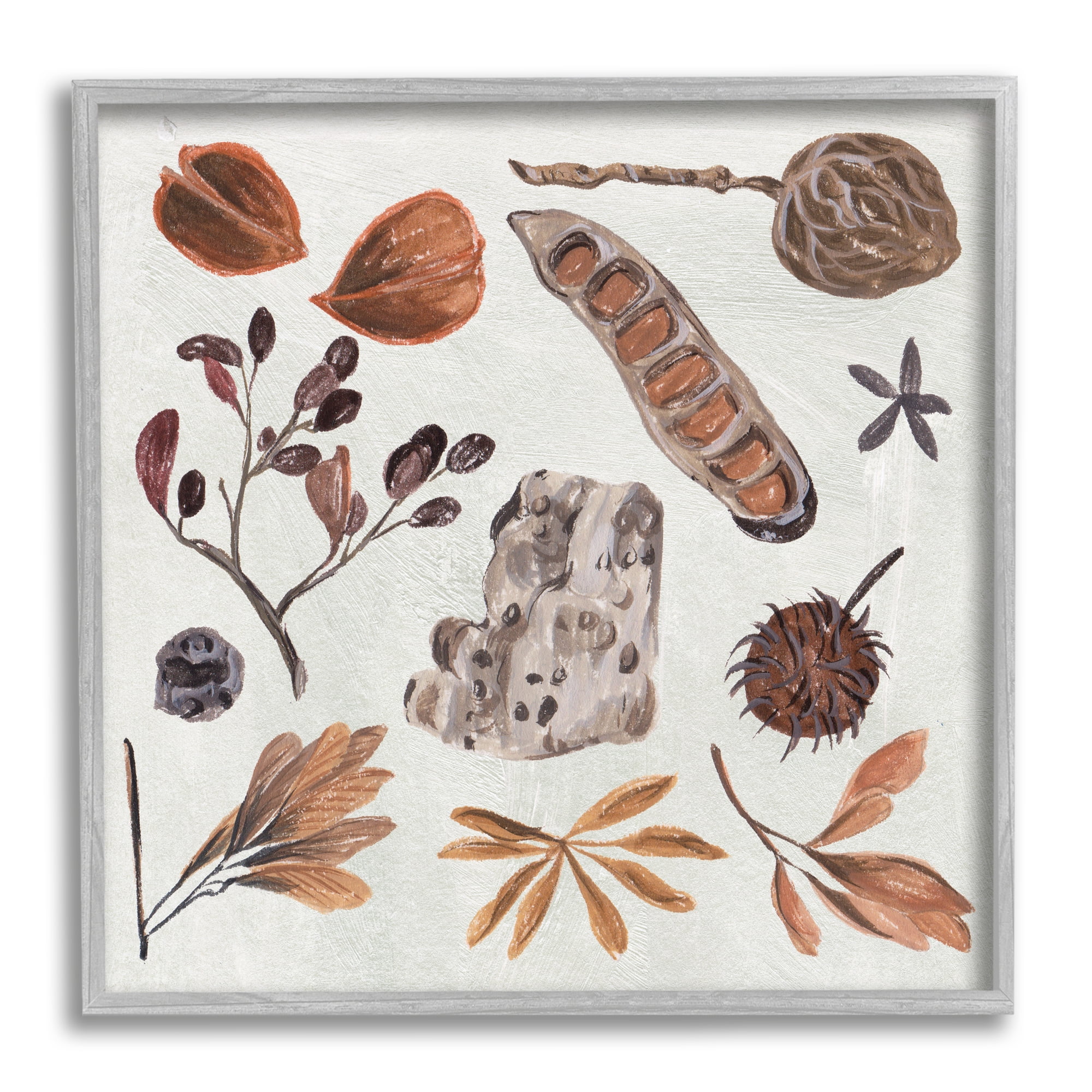 Stupell Industries Brown Seed Leaf Nut Botanicals Nature , 12 x 12, Design by Melissa Wang