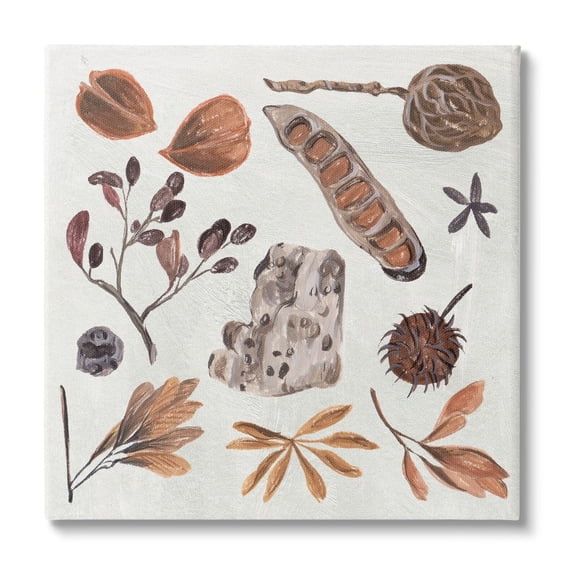 Stupell Industries Brown Seed Leaf Nut Botanicals Nature , 17 x 17, Design by Melissa Wang