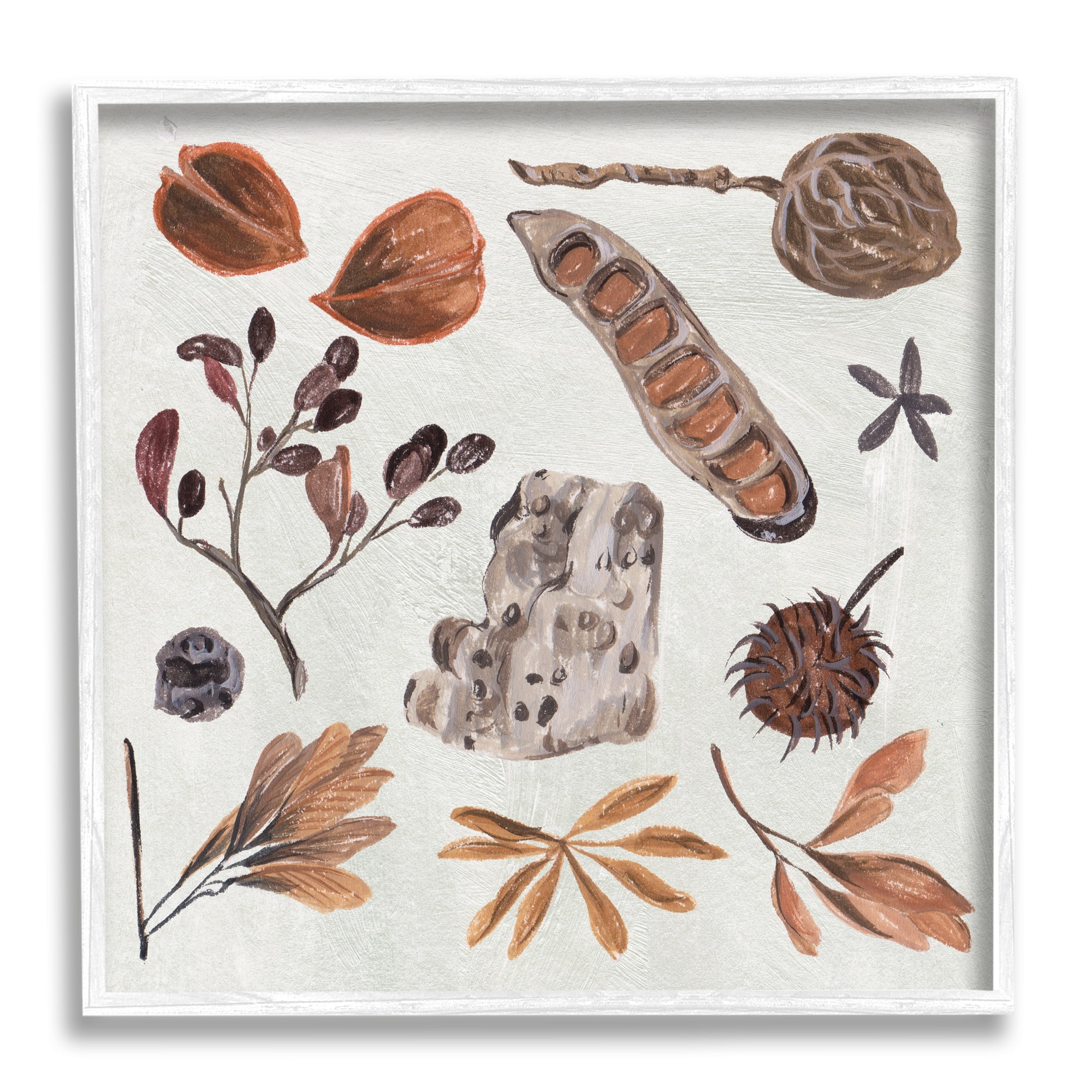 Stupell Industries Brown Seed Leaf Nut Botanicals Nature , 17 x 17, Design by Melissa Wang
