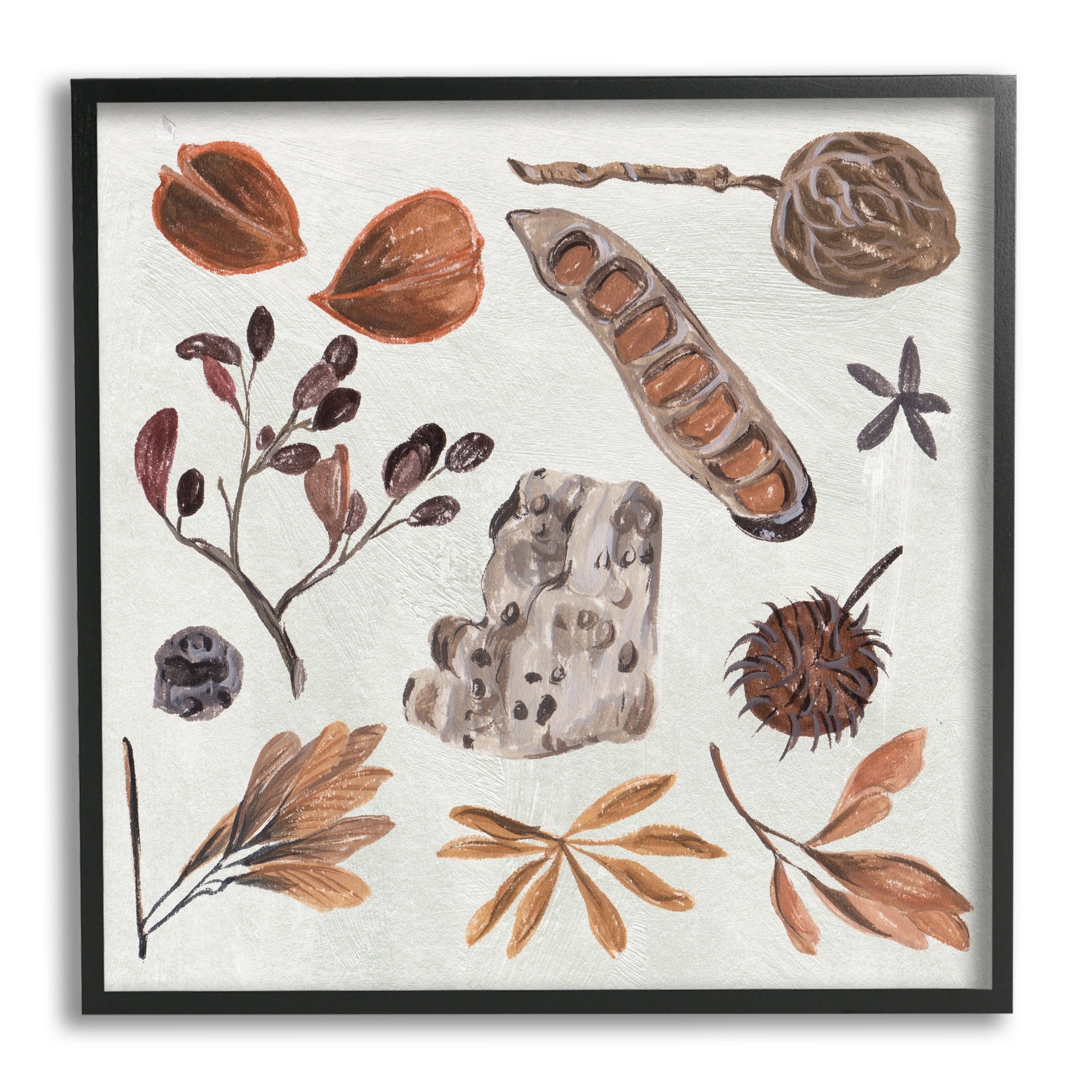 Stupell Industries Brown Seed Leaf Nut Botanicals Nature , 24 x 24, Design by Melissa Wang