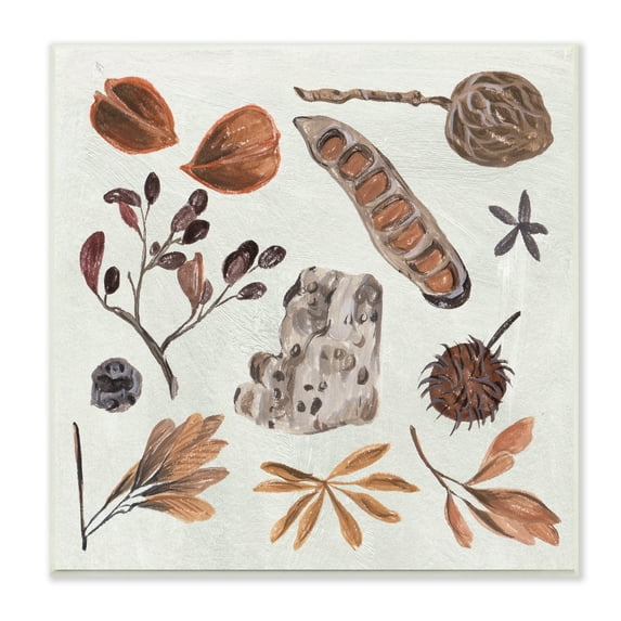Stupell Industries Brown Seed Leaf Nut Botanicals Nature Drawings Unframed Art Print Wall Art, 12x12, by Melissa Wang