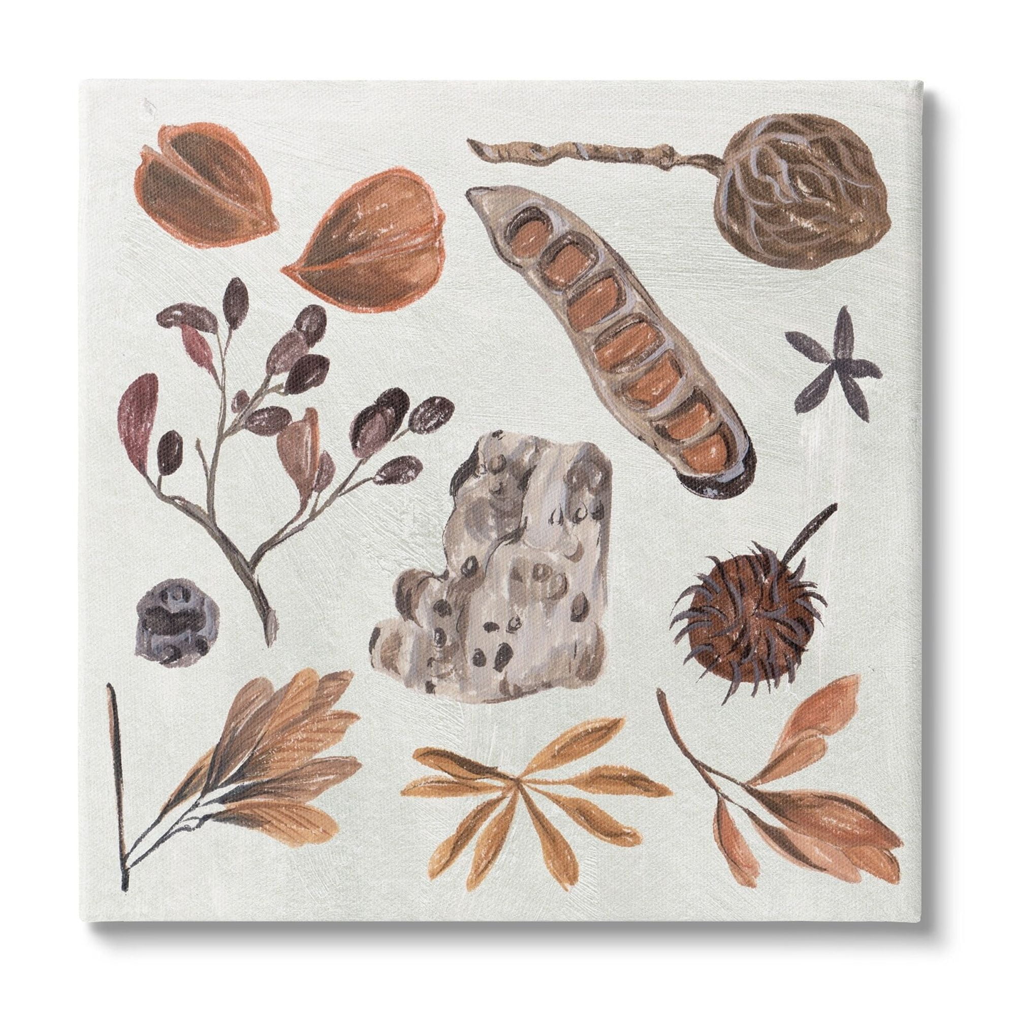 Stupell Industries Brown Seed Leaf Nut Botanicals Nature Modern Drawing Gallery-Wrapped Canvas Print Wall Art, 30 x 30, Design by Melissa Wang