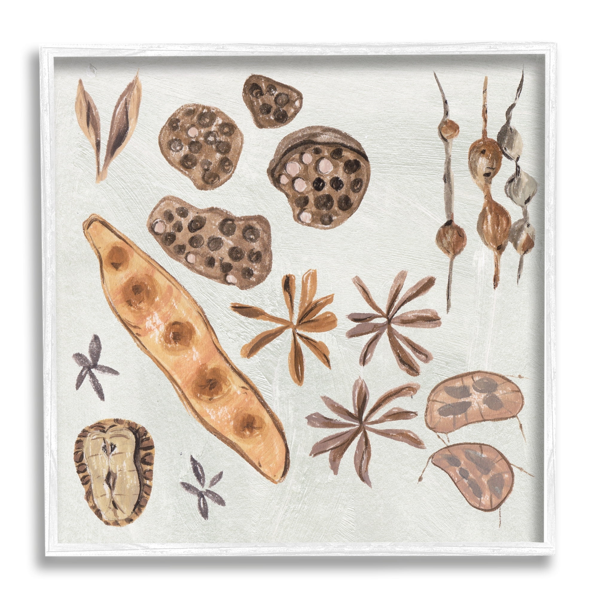 Stupell Industries Brown Seed Plant Botanicals Nature Diagram , 12 x 12, Design by Melissa Wang