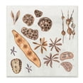 thumbnail image 1 of Stupell Brown Seed Plant Botanicals Nature Diagram Wood Wall Art, 1 of 5