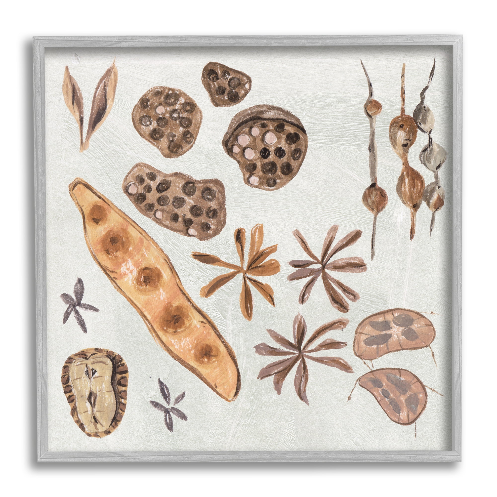 Stupell Industries Brown Seed Plant Botanicals Nature Diagram , 24 x 24, Design by Melissa Wang