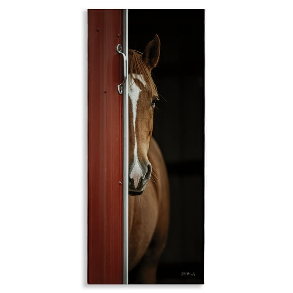 Stupell Industries Brown Stallion Peeking Animals & Insects Photography Gallery Wrapped Canvas Art Print Wall Art, 10 x 24