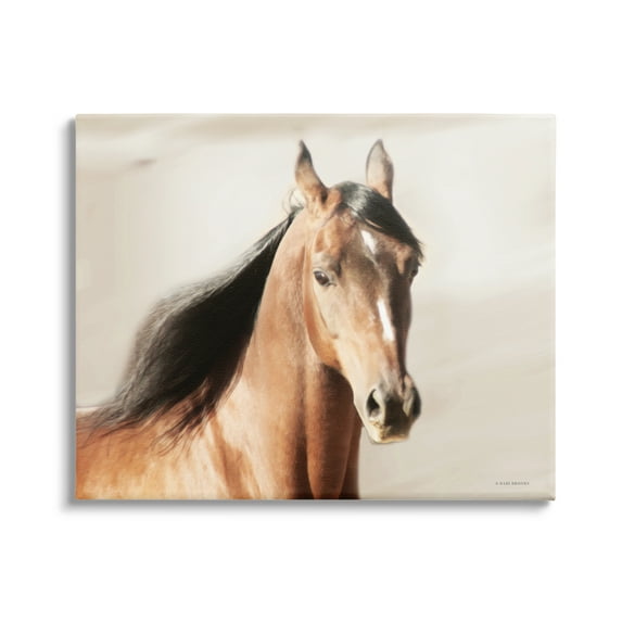 Stupell Industries Brown Stallion Portrait Animals & Insects Photography Gallery Wrapped Canvas Print Wall Art, 48 x 36