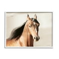 thumbnail image 1 of Stupell Industries Brown Stallion Portrait Animals & Insects Photography White Framed Art Print Wall Art, 20 x 16, 1 of 9