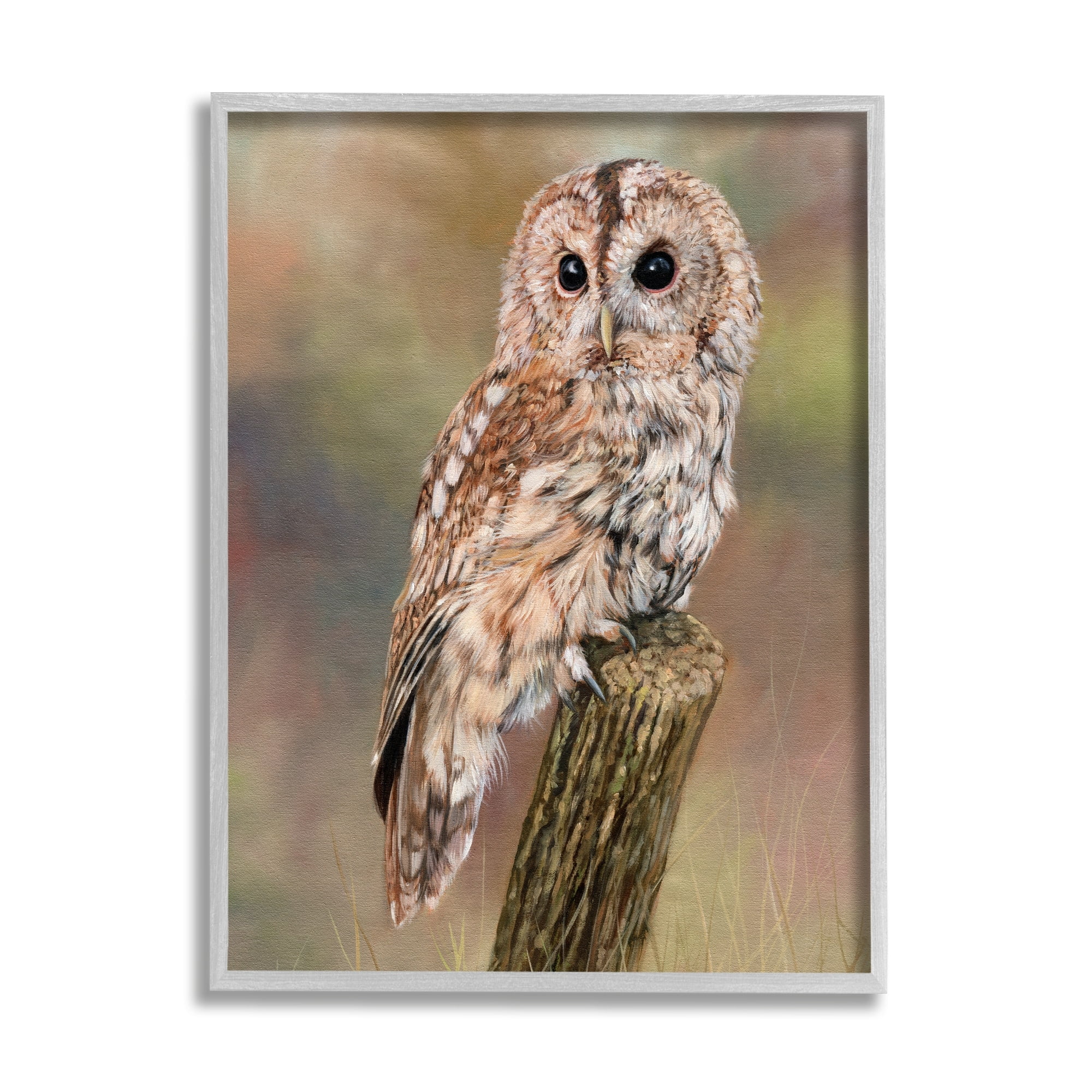 Stupell Industries Brown Tawny Owl Perched Intricate Woodland Wildlife Painting Painting Gray Framed Art Print Wall Art, Design by David Stribbling