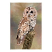 Stupell Industries Brown Tawny Owl Perched Intricate Woodland Wildlife Painting Painting Unframed Art Print Wall Art, Design by David Stribbling