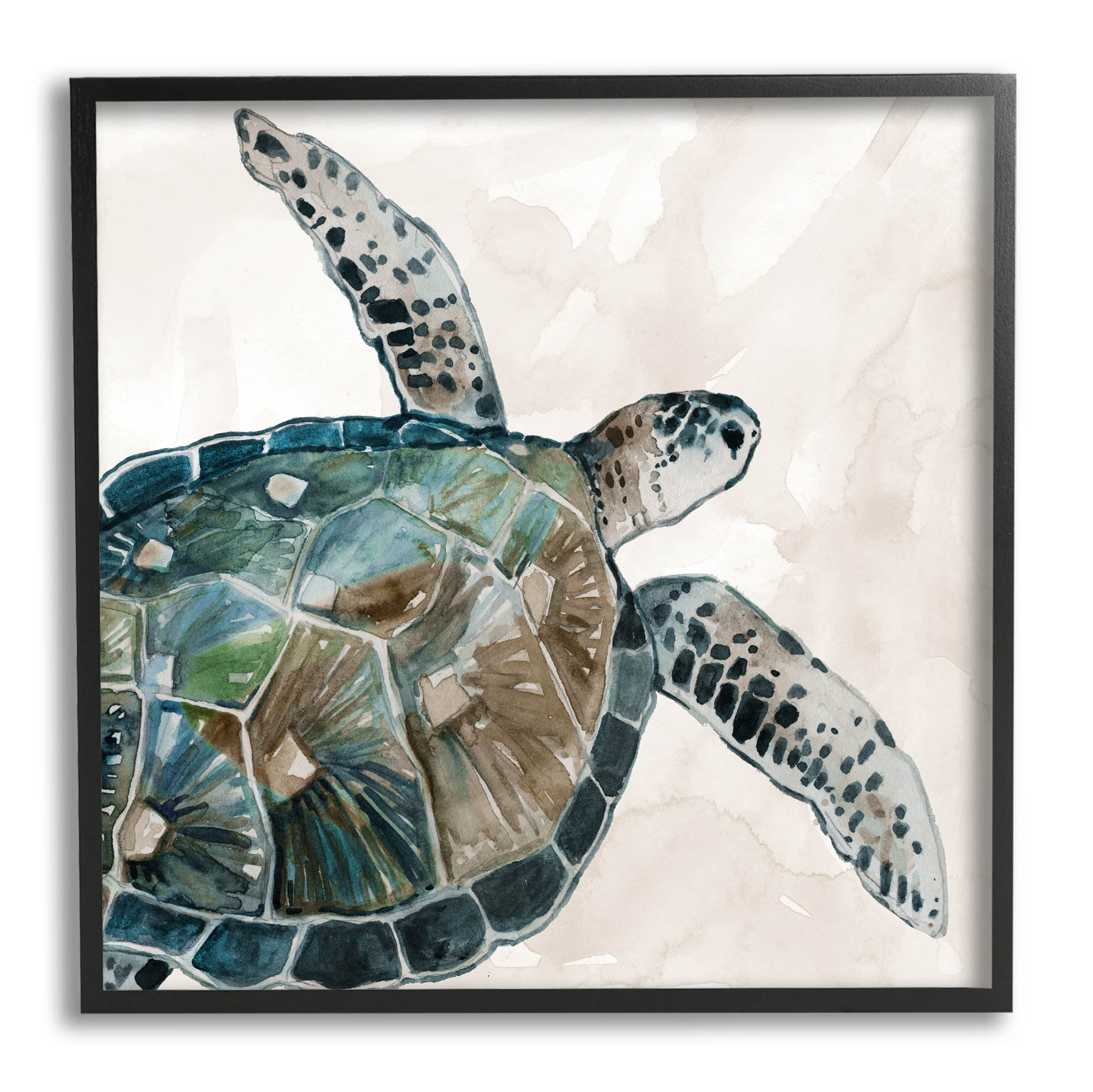 Stupell Industries Brown Tortoise Sea Life Graphic Art Black Framed Art Print Wall Art, Design by Carol Robinson
