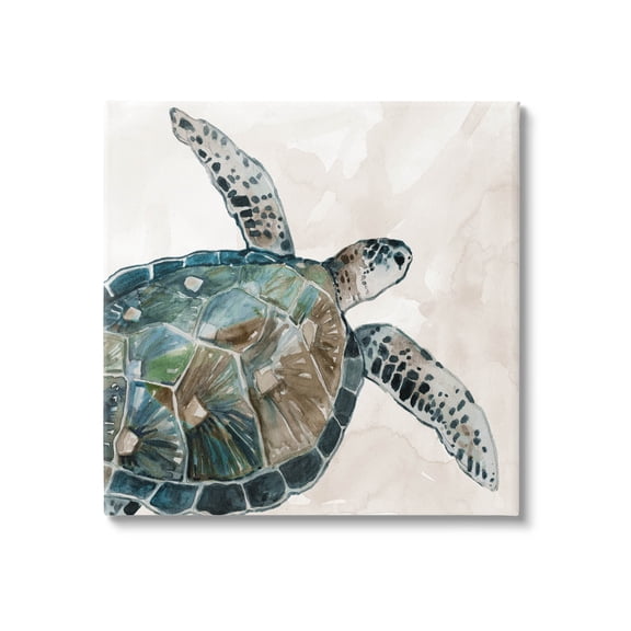 Stupell Industries Brown Tortoise Sea Life Graphic Art Gallery Wrapped Canvas Print Wall Art, Design by Carol Robinson