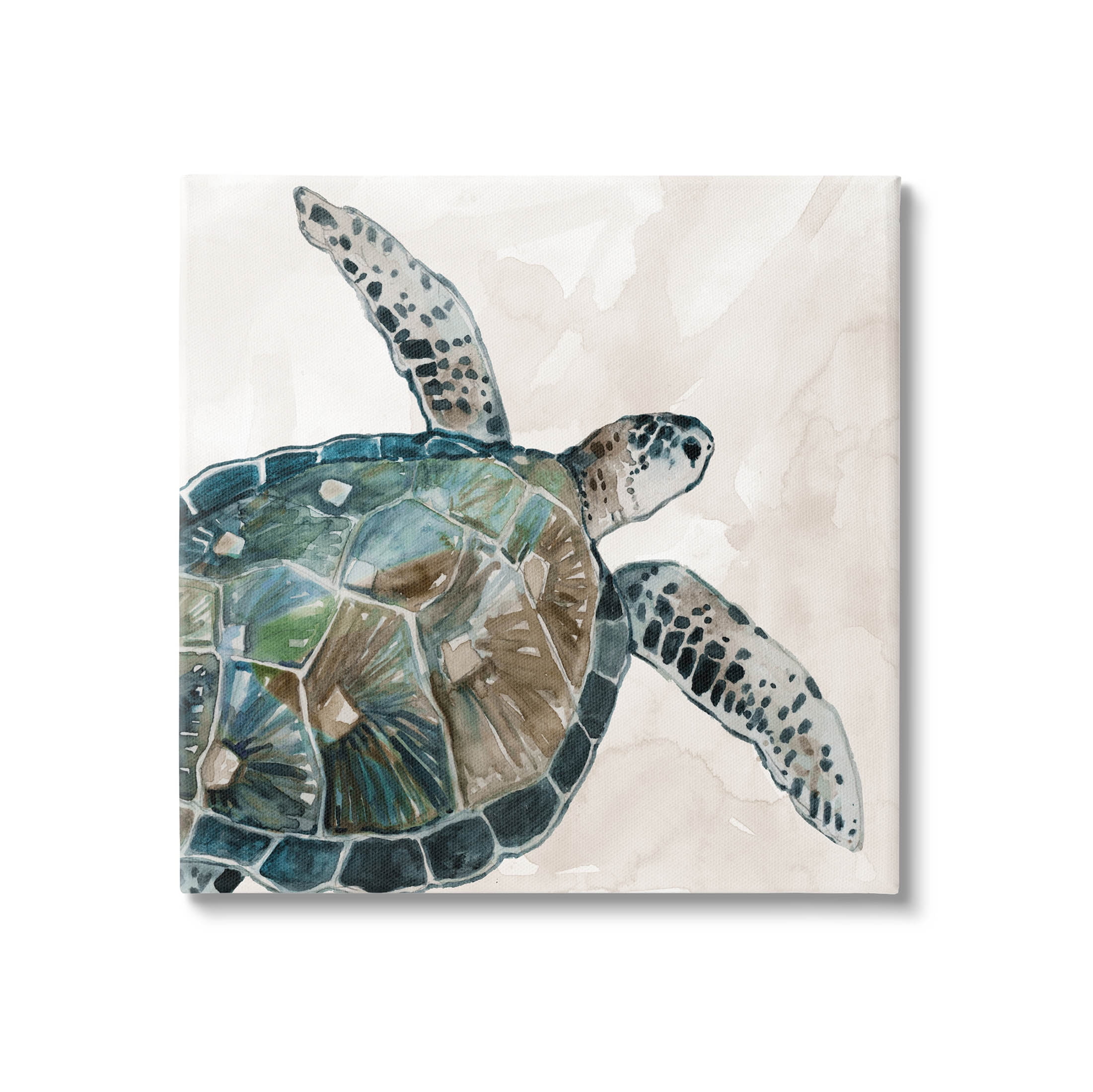 Stupell Industries Brown Tortoise Sea Life Graphic Art Gallery Wrapped Canvas Print Wall Art, Design by Carol Robinson